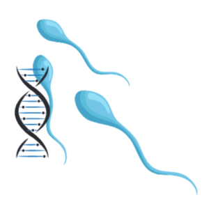 semen-analysis-rohtak-ivf