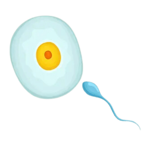 ivf sperm